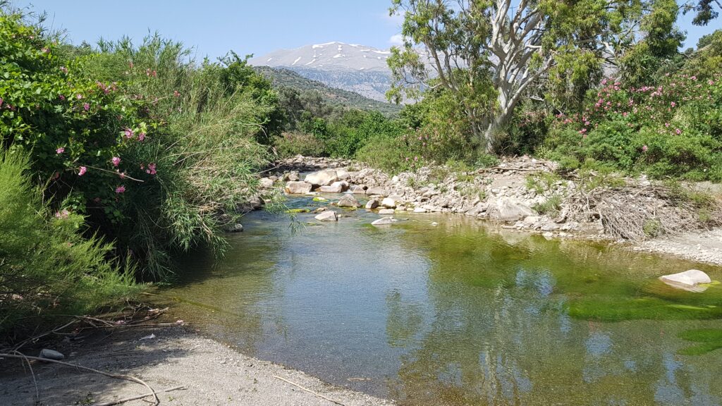 Within 1 hour from Agia Galini, tons of hikes and tours are possible - even in summer gorges and rivers are comfortably for a stroll or a hike.